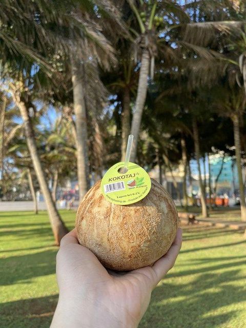 Fresh Coconut - Image 3